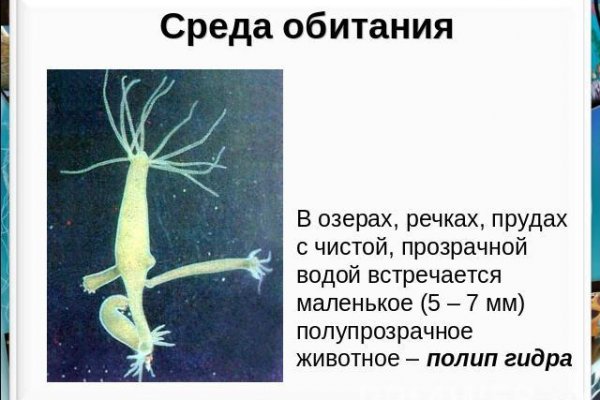 Кракен ссылка тор kr2web in