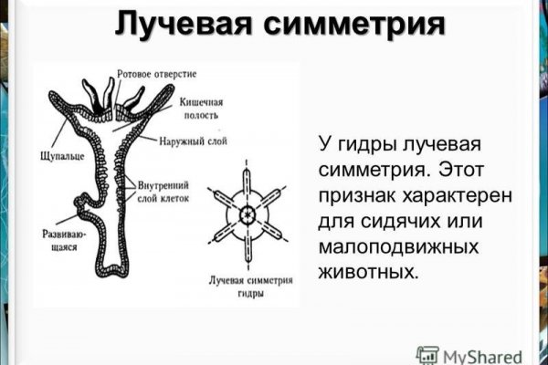 Кракен сайт ссылка kraken dark link