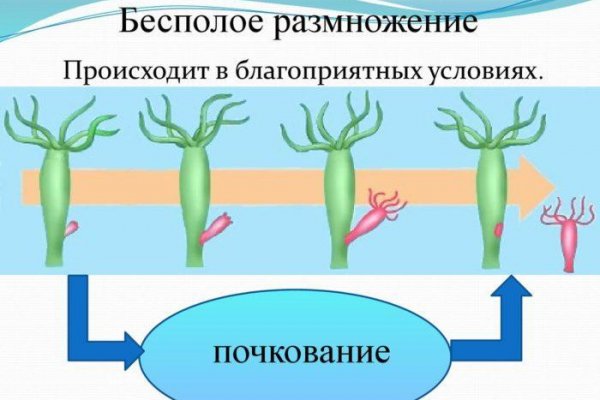 Как войти в кракен