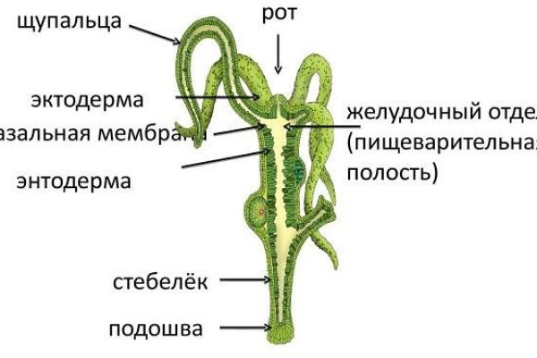 Кракен сайт бошки