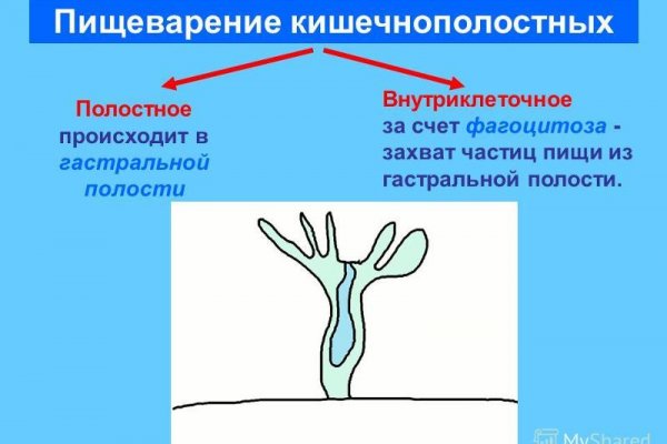 Ссылка на кракен 11
