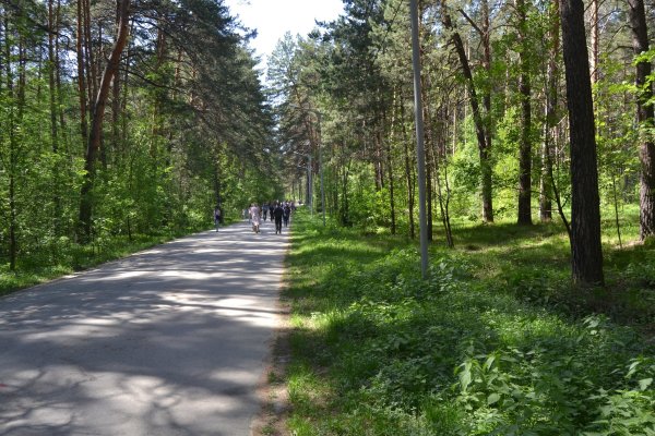 Кракен маркетплейс ссылка телеграмм